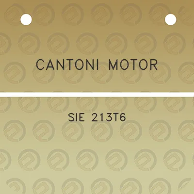 cantoni-motor-sie-213t6