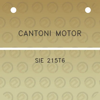 cantoni-motor-sie-215t6