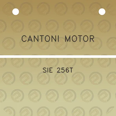 cantoni-motor-sie-256t