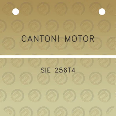 cantoni-motor-sie-256t4