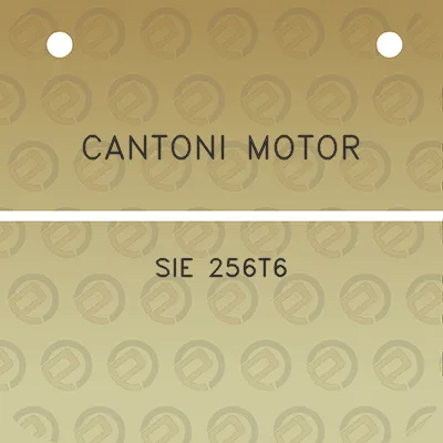 cantoni-motor-sie-256t6