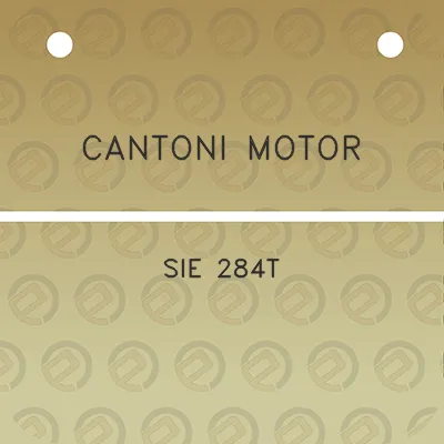 cantoni-motor-sie-284t