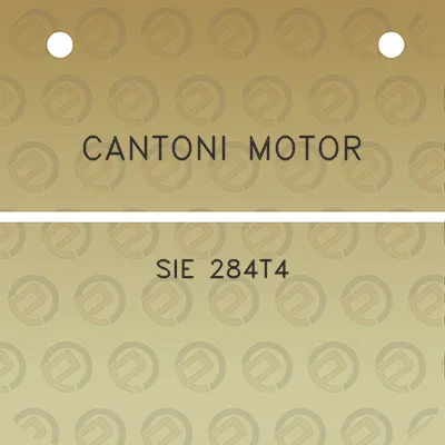 cantoni-motor-sie-284t4