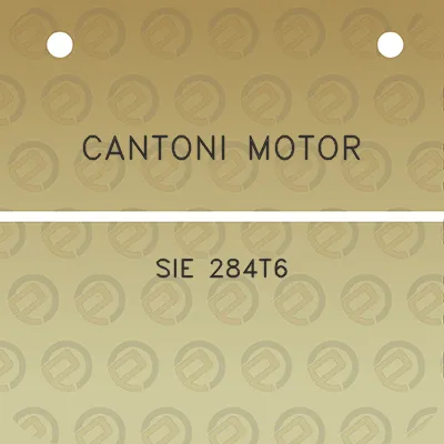 cantoni-motor-sie-284t6