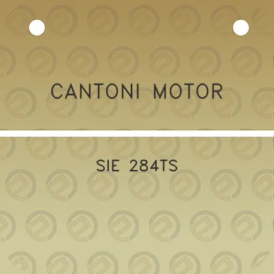 cantoni-motor-sie-284ts