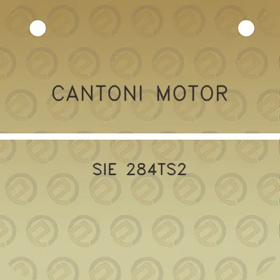 cantoni-motor-sie-284ts2