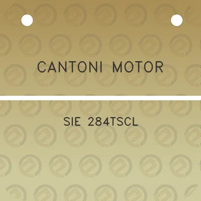 cantoni-motor-sie-284tscl