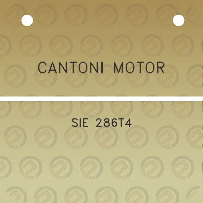 cantoni-motor-sie-286t4