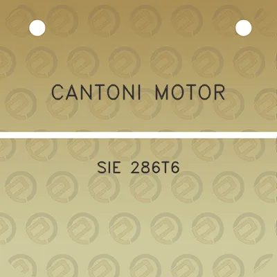 cantoni-motor-sie-286t6