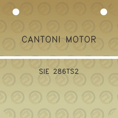 cantoni-motor-sie-286ts2