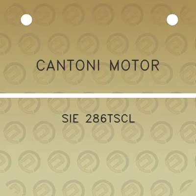 cantoni-motor-sie-286tscl