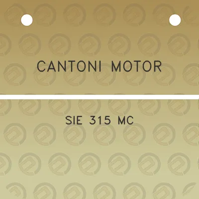 cantoni-motor-sie-315-mc