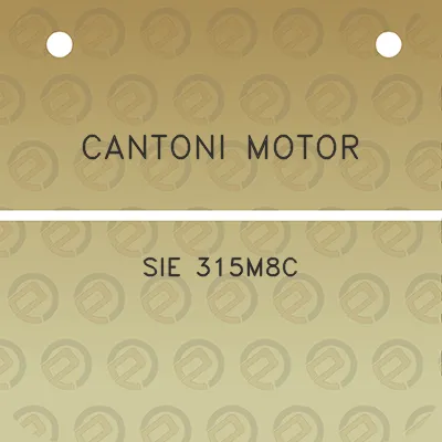 cantoni-motor-sie-315m8c