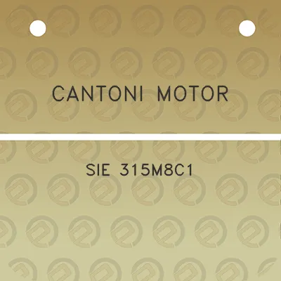 cantoni-motor-sie-315m8c1