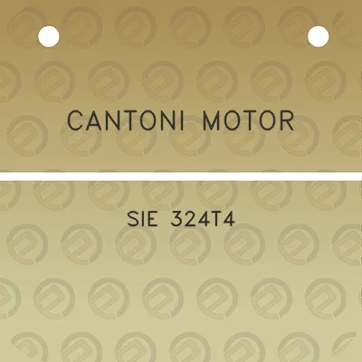 cantoni-motor-sie-324t4