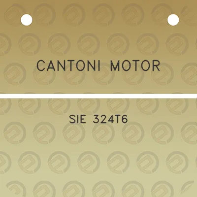 cantoni-motor-sie-324t6