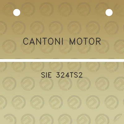 cantoni-motor-sie-324ts2