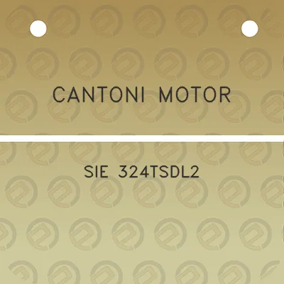 cantoni-motor-sie-324tsdl2