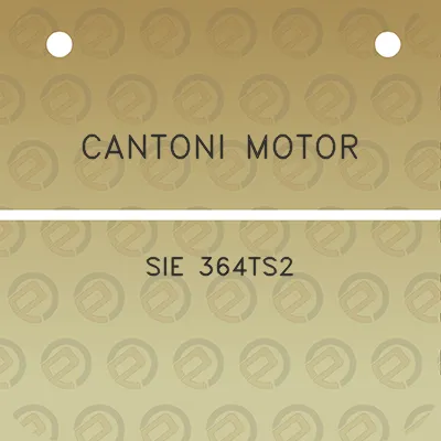 cantoni-motor-sie-364ts2