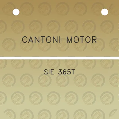 cantoni-motor-sie-365t