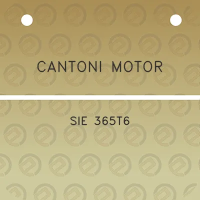 cantoni-motor-sie-365t6