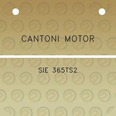 cantoni-motor-sie-365ts2