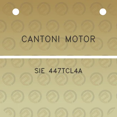 cantoni-motor-sie-447tcl4a