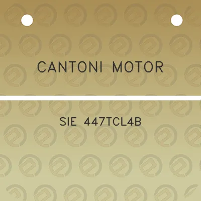 cantoni-motor-sie-447tcl4b