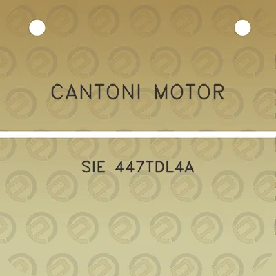 cantoni-motor-sie-447tdl4a