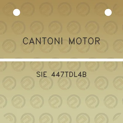 cantoni-motor-sie-447tdl4b