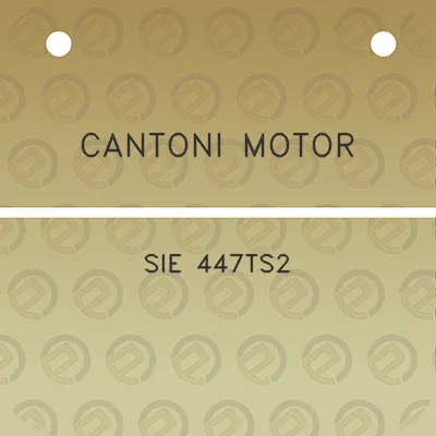 cantoni-motor-sie-447ts2