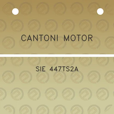 cantoni-motor-sie-447ts2a