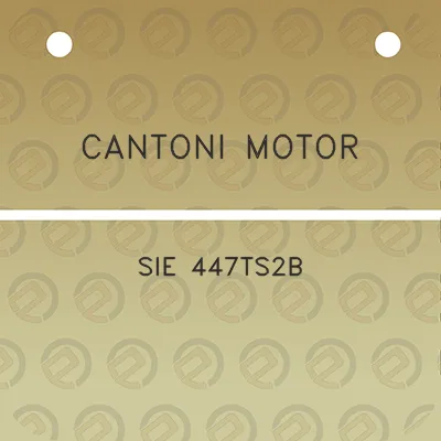 cantoni-motor-sie-447ts2b