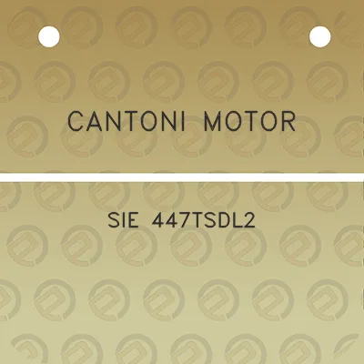 cantoni-motor-sie-447tsdl2