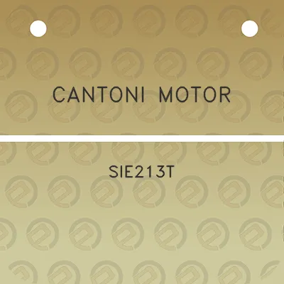 cantoni-motor-sie213t