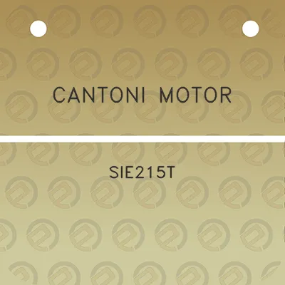 cantoni-motor-sie215t