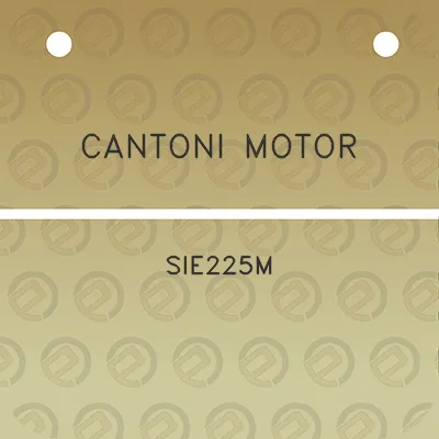 cantoni-motor-sie225m