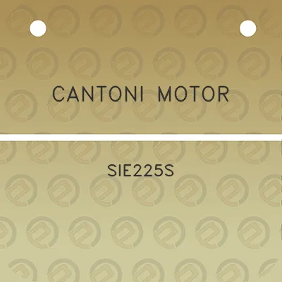 cantoni-motor-sie225s