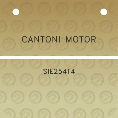 cantoni-motor-sie254t4