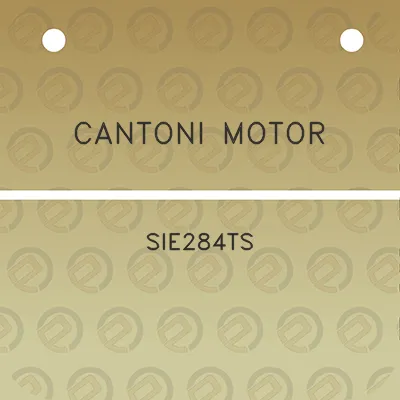 cantoni-motor-sie284ts