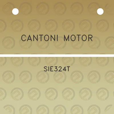 cantoni-motor-sie324t