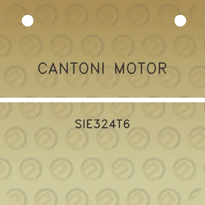 cantoni-motor-sie324t6