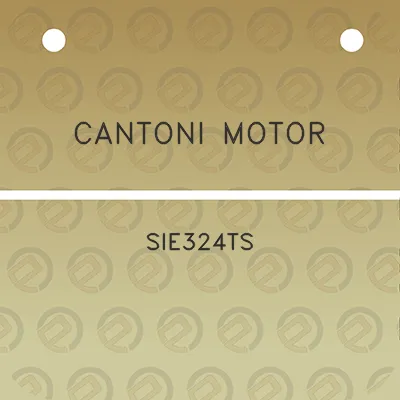 cantoni-motor-sie324ts