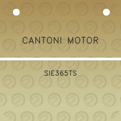 cantoni-motor-sie365ts