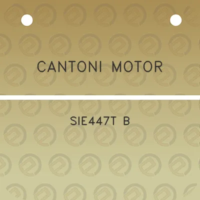 cantoni-motor-sie447t-b