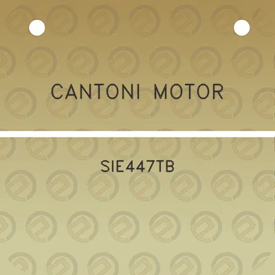 cantoni-motor-sie447tb