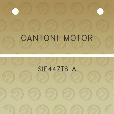 cantoni-motor-sie447ts-a