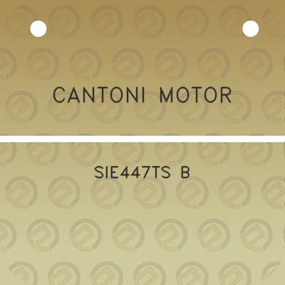 cantoni-motor-sie447ts-b