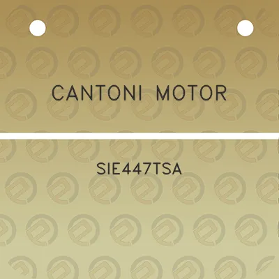 cantoni-motor-sie447tsa