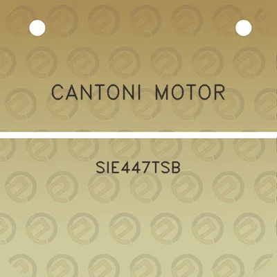 cantoni-motor-sie447tsb